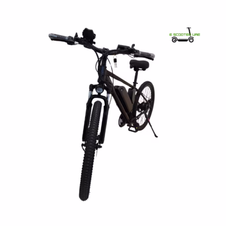 Winner sky electric bicycle