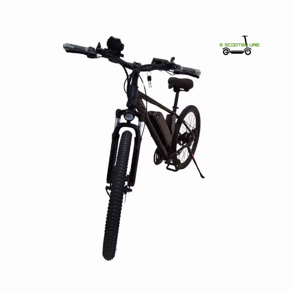 Winner sky electric bicycle