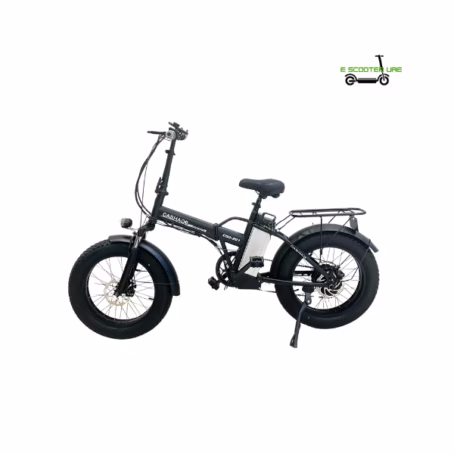 Winner sky foldable electric bicycle X20