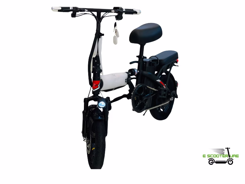 Rohan Wings Electric Scooter KQ-02 in UAE