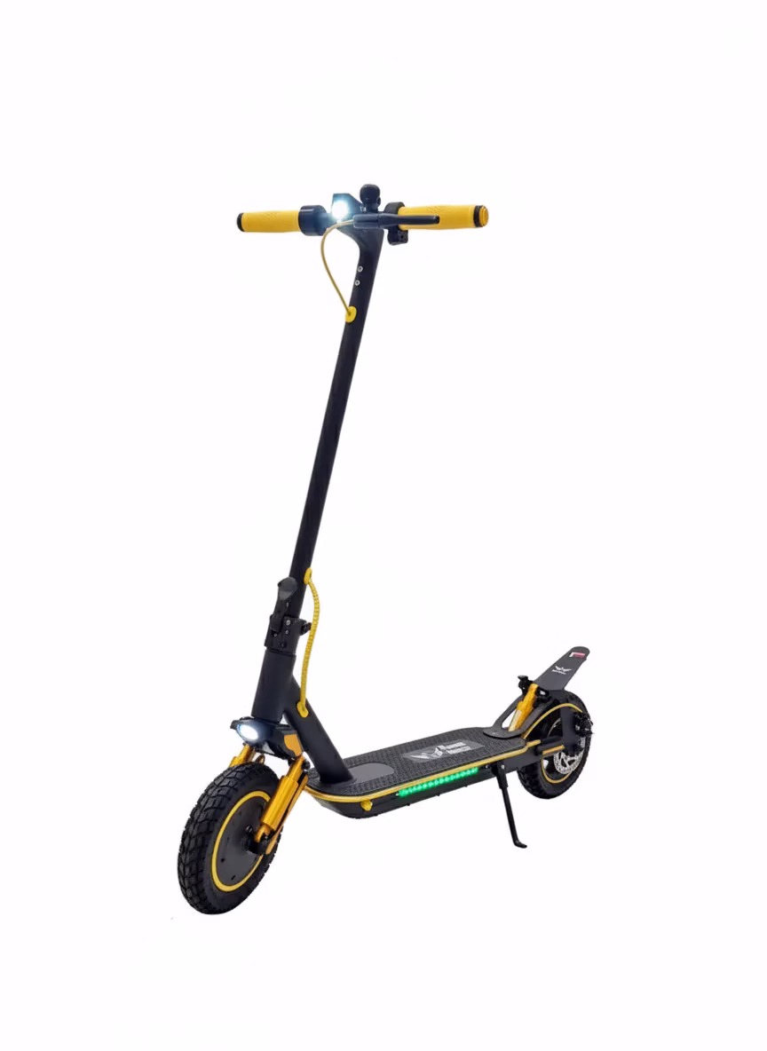 Rohan Wings HT08 Electric Scooter For Adults