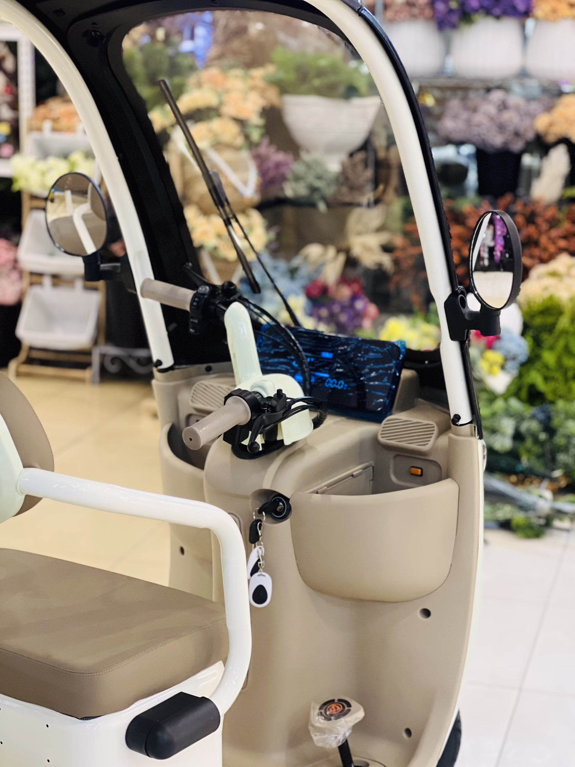 Rohan Wings C6 3-Wheel Electric Scooter Tuk Tuk