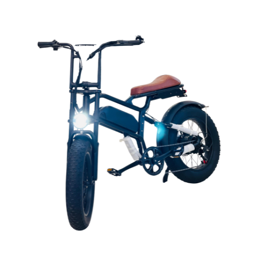 Rohan Wings ST-20 Electric Bike 450W Motor 48V15Ah Battery 46 km/h Speed 20-Inch Snow Tyres Front & Rear Suspension | Free Delivery UAE