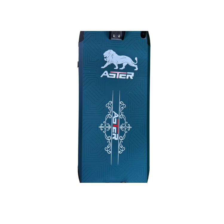 Aster A1S Electric Scooter