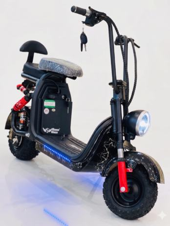 Rohan Wings M4 Electric Scooter | 350W Motor