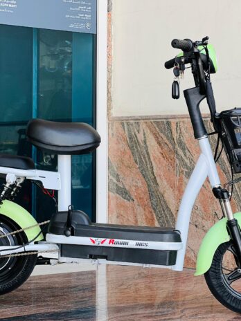 Rohan Wings LM14 Electric Scooter  | 48V 12Ah Battery