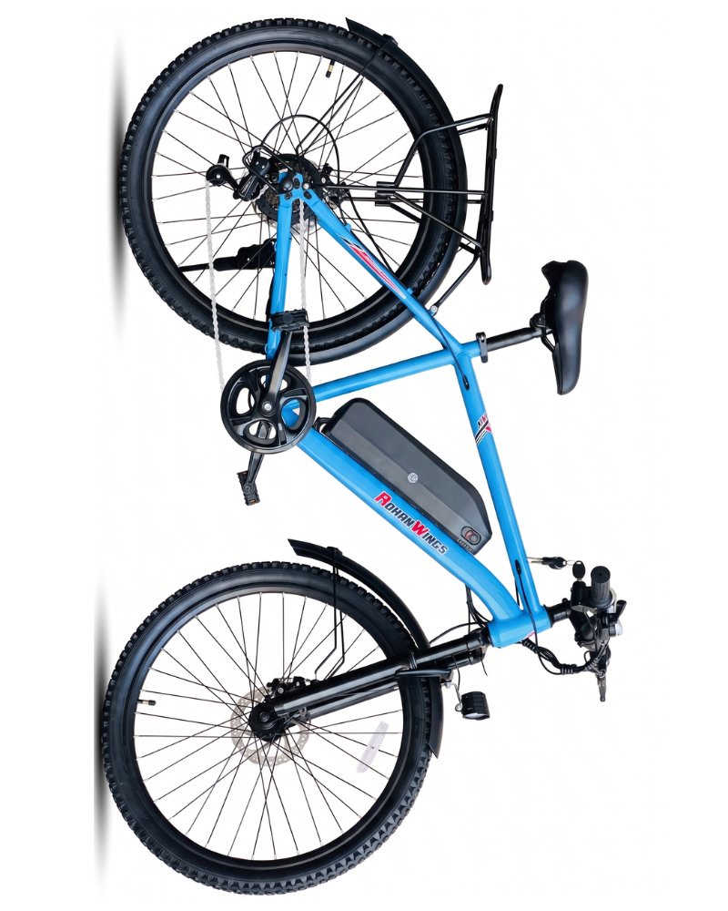 electric bicycles